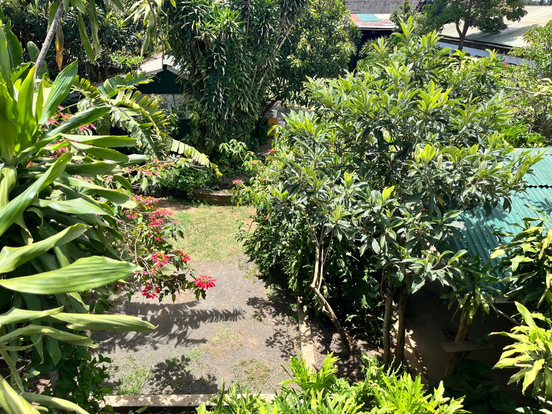 Lush garden grounds and seating huts at Kerio Dreams
